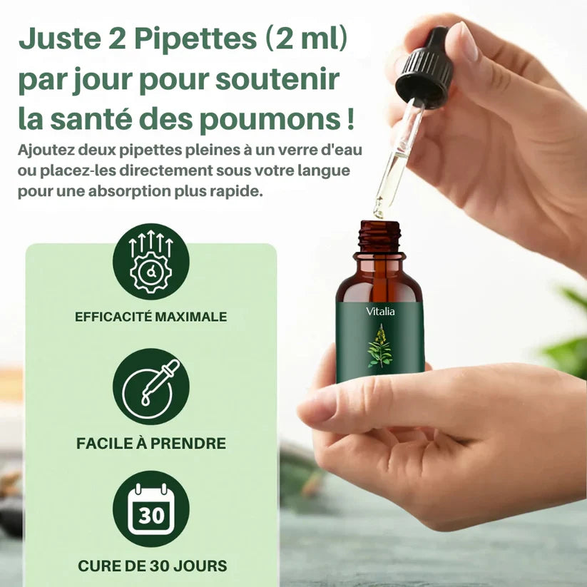 Moléne : purifiez vos poumons et respirez facilement