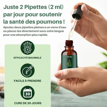 Moléne : purifiez vos poumons et respirez facilement