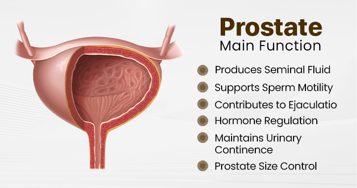 Say goodbye to prostate discomfort 🍀 ProstaPower Bee Inhalation Stick 🍀 (Fast-acting and long-lasting)