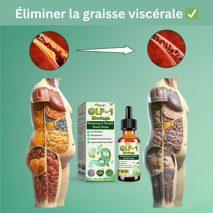 HHVB® GLP-1 Gouttes Minceur à la Moringa ✅ Brûleur de Graisse Naturel pour une Silhouette Affinée et une Santé Optimale