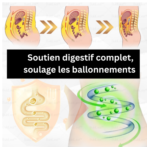 HHVB® GLP-1 Gouttes Minceur à la Moringa ✅ Brûleur de Graisse Naturel pour une Silhouette Affinée et une Santé Optimale