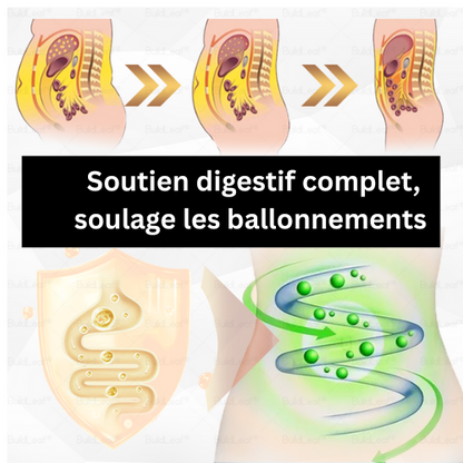 HHVB® GLP-1 Gouttes Minceur à la Moringa ✅ Brûleur de Graisse Naturel pour une Silhouette Affinée et une Santé Optimale