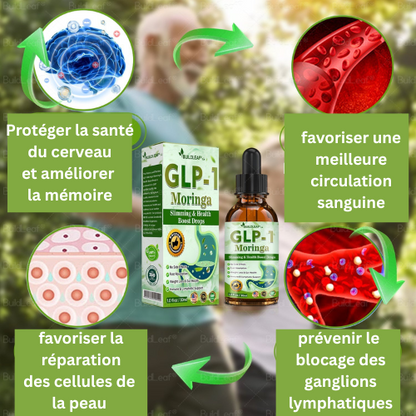 HHVB® GLP-1 Gouttes Minceur à la Moringa ✅ Brûleur de Graisse Naturel pour une Silhouette Affinée et une Santé Optimale