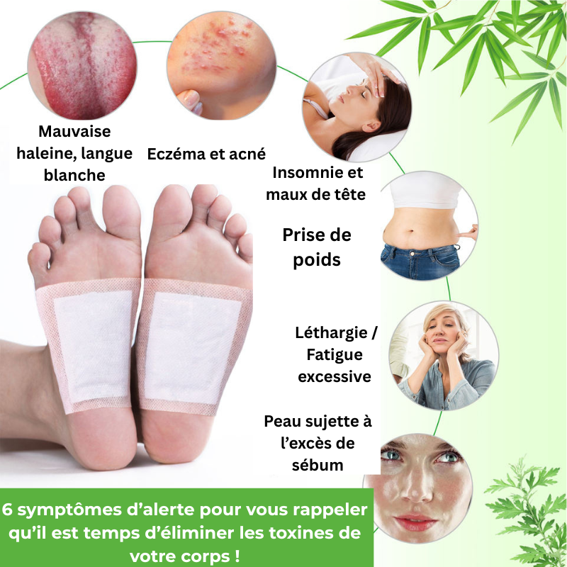 Patchs Détox – Éliminez les Toxines en Une Nuit