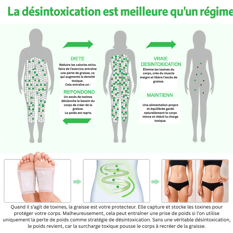 Patchs Détox – Éliminez les Toxines en Une Nuit