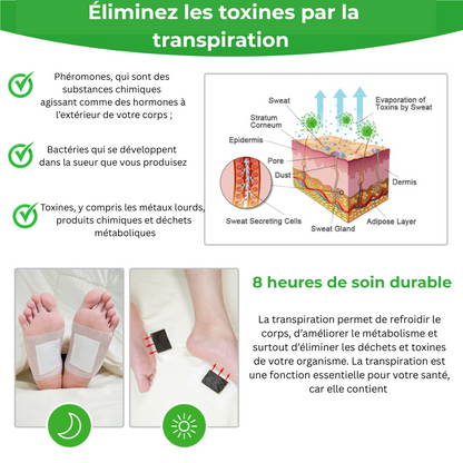 Patchs Détox – Éliminez les Toxines en Une Nuit