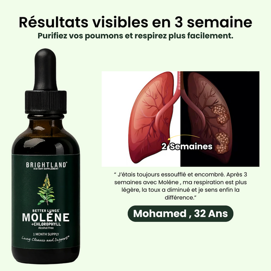 Moléne : purifiez vos poumons et respirez facilement