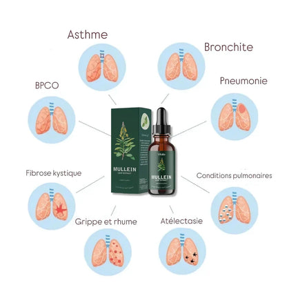 Moléne : purifiez vos poumons et respirez facilement