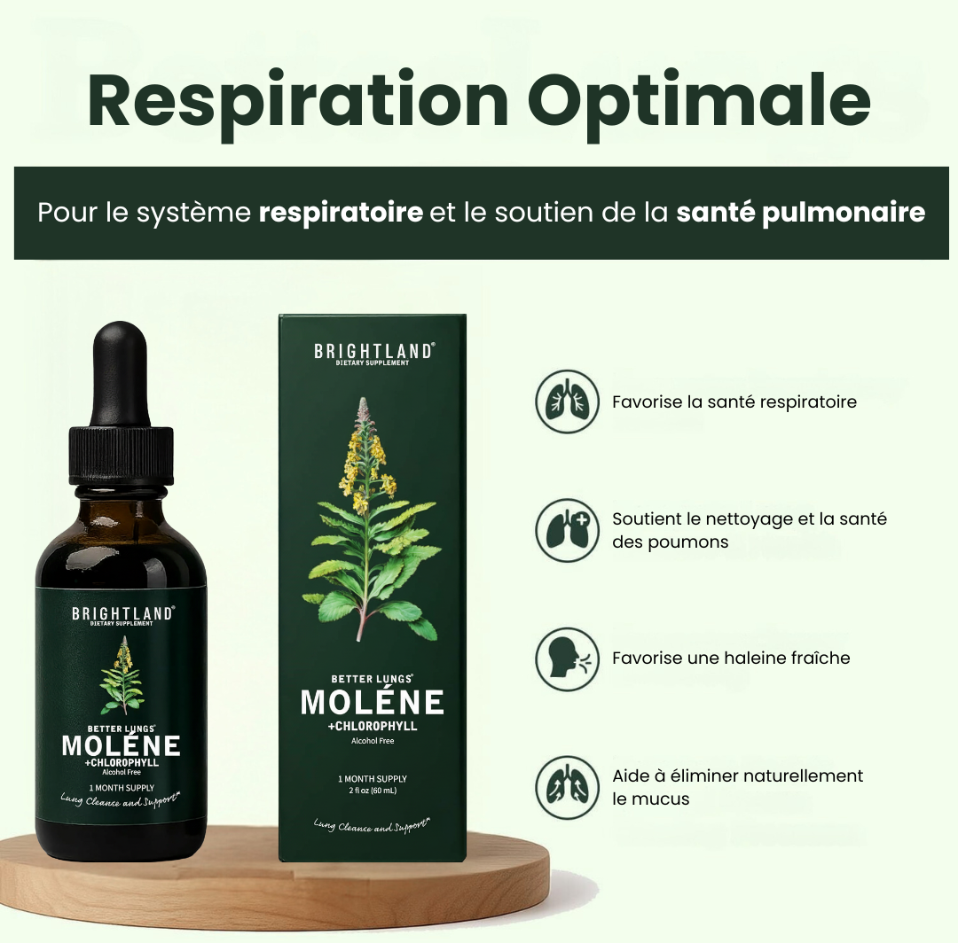 Moléne : purifiez vos poumons et respirez facilement